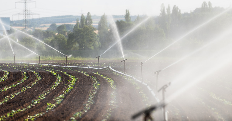 Business Water